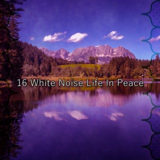 16 Bruit blanc Vie en paix