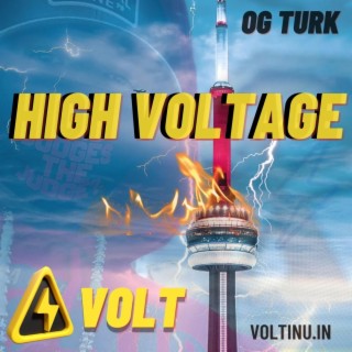 HIGH VOLTAGE (VOLT INU)