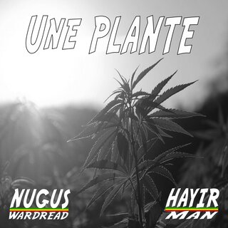 Une plante