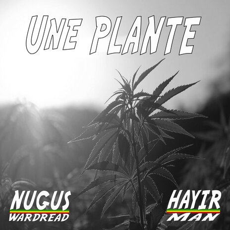 Une plante ft. Hayir Man