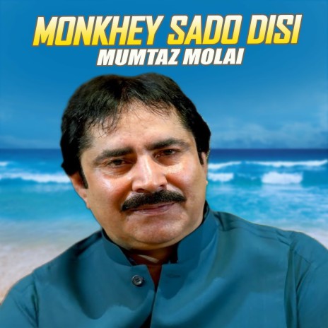 Monkhey Sado Disi (1)