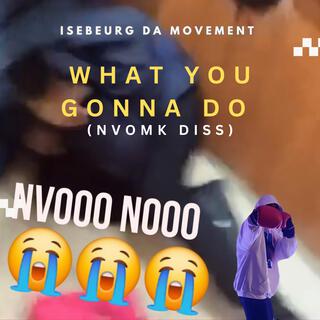 What You Gonna Do (NVO MK DISS)