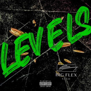 Levels lyrics | Boomplay Music