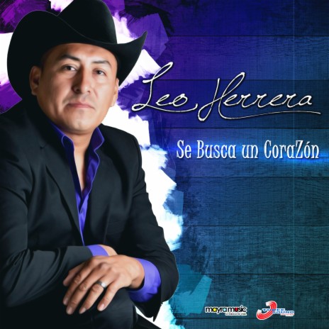 Se Busca un Corazón | Boomplay Music