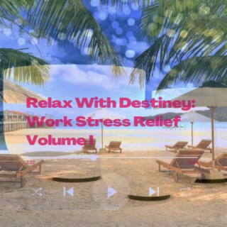 Relax With Destiney: Work Stress Relief Volume I