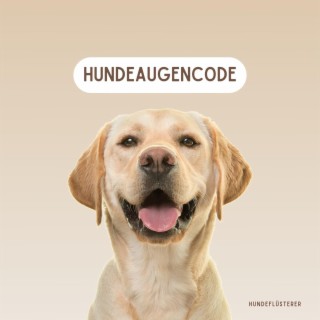 Hundeaugencode