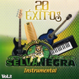 20 Exitos Instrumental, Vol. 2