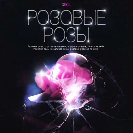 Розовые розы | Boomplay Music