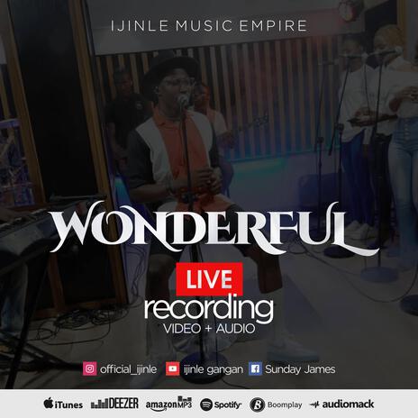 Wonderful (Live) | Boomplay Music