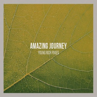 Amazing Journey