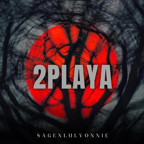 2 PLAYA | Boomplay Music