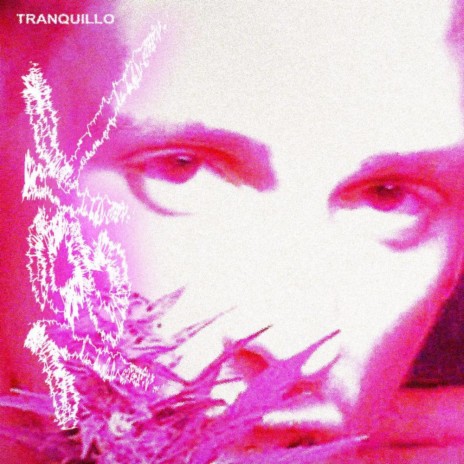 Tranquillo | Boomplay Music