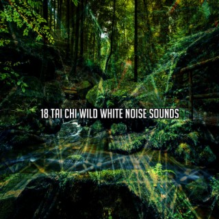 18 Sons de bruit blanc sauvage de Tai Chi