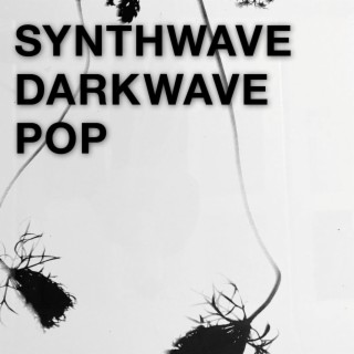 Synthwave Darkwave Pop