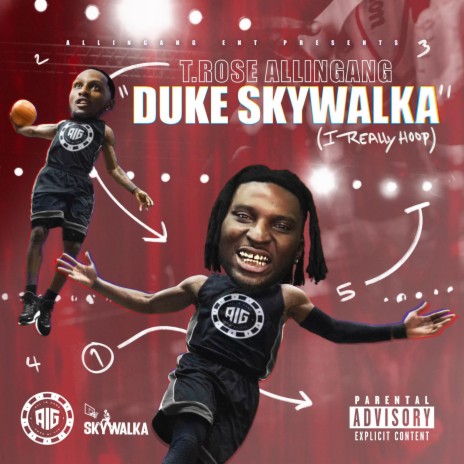 DUKE SKYWALKA (I REALLY HOOP) | Boomplay Music