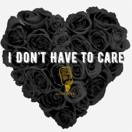 I Don't Have To Care | Boomplay Music