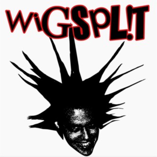 WIGSPLIT