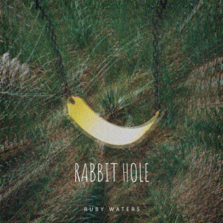 Rabbit Hole lyrics | Boomplay Music