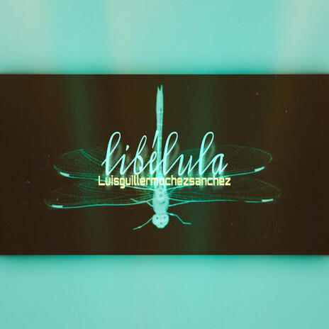 LIBELULA | Boomplay Music