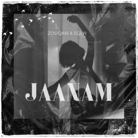 Jaanam ft. SQLN | Boomplay Music