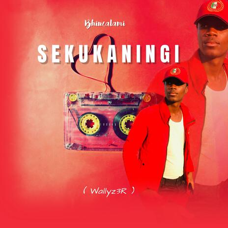 Bhincalami_Sekukaningi | Boomplay Music