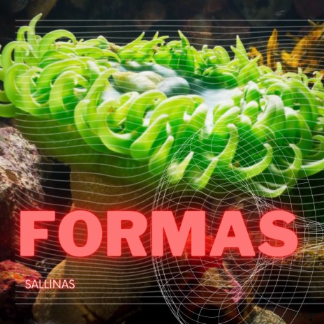 Formas | Boomplay Music