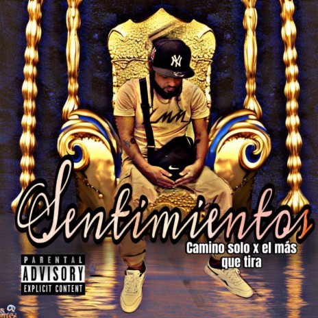 SENTIMIENTOS (CAMINO SOLO X EL MAS QUE TIRA)