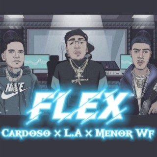 Flex