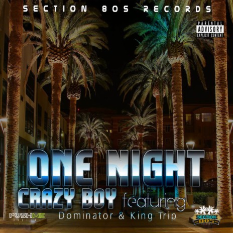 One night (Single) ft. King Trip & Dominator | Boomplay Music