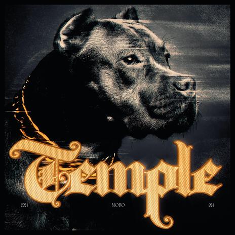 TEMPLE | Boomplay Music