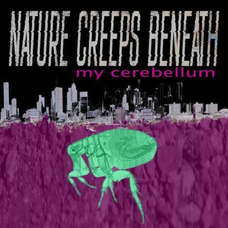 My Cerebellum | Boomplay Music