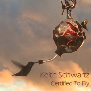 Certified to Fly (Instrumental)