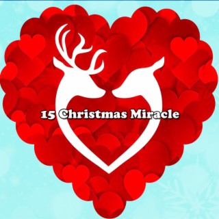 15 Miracle de Noël