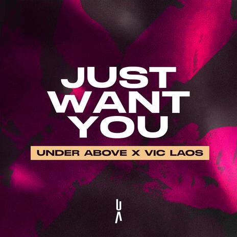 Just Want You ft. Vic Laos | Boomplay Music