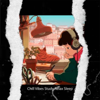 Chill Vibes Study Relax Sleep