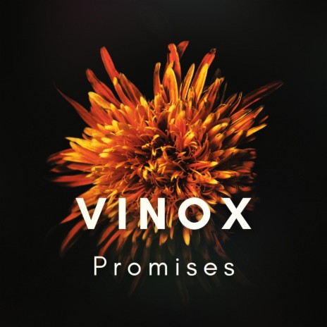 Promises | Boomplay Music