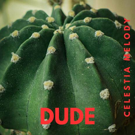 Dude | Boomplay Music