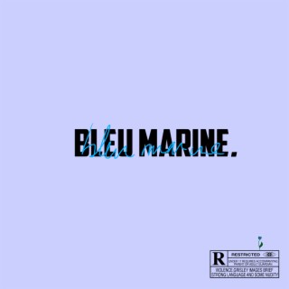 bleu marine
