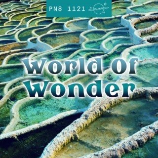 World Of Wonder: Magical, Curious Nature