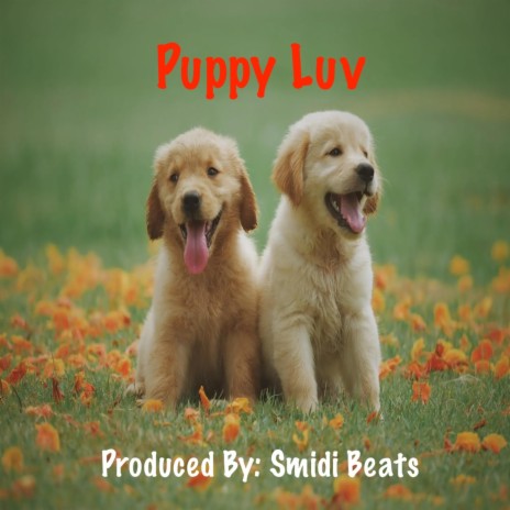 Puppy Luv | Boomplay Music