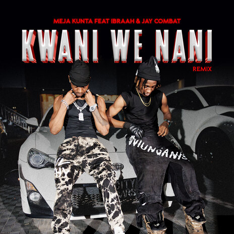 Kwani We Nani (Remix) ft. Jay Combat & Ibraah | Boomplay Music