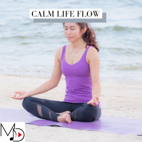 Calm Life Flow | Boomplay Music