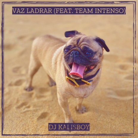 Vaz Ladrar ft. Team Intenso | Boomplay Music