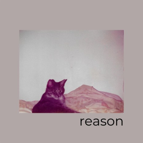 reason | Boomplay Music