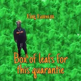 Box of Leafs for This Quarantine