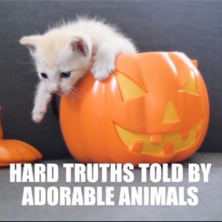 Hard Truths Told By Adorable Animals