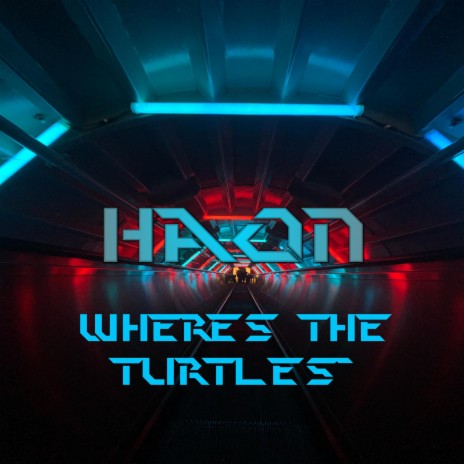 Wheres The Turtles | Boomplay Music