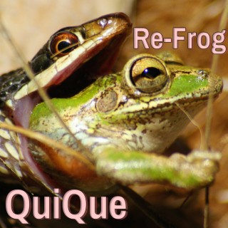 Re-Frog