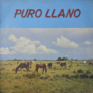 Puro Llano