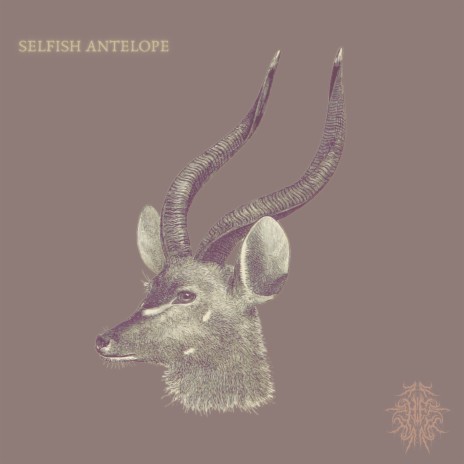 Selfish Antelope | Boomplay Music